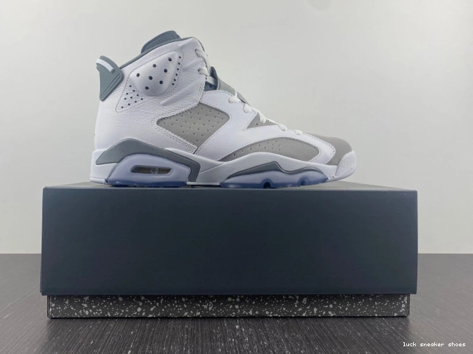 Reps LUCY 6 Air Cool Jordan CT8529-100 Grey 0728